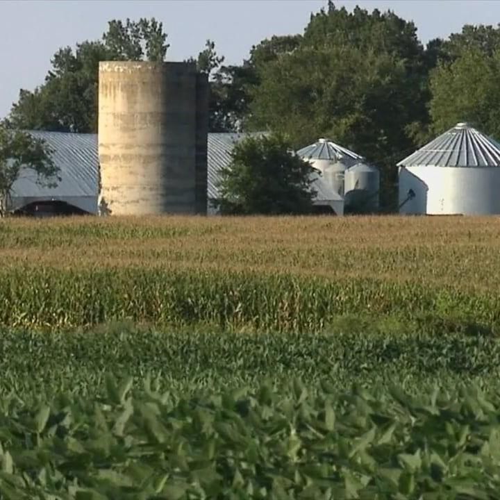UPDATE: Local farmers struggling after Tennessee misses deadline to apply for food bank funding, losing $7.4 million